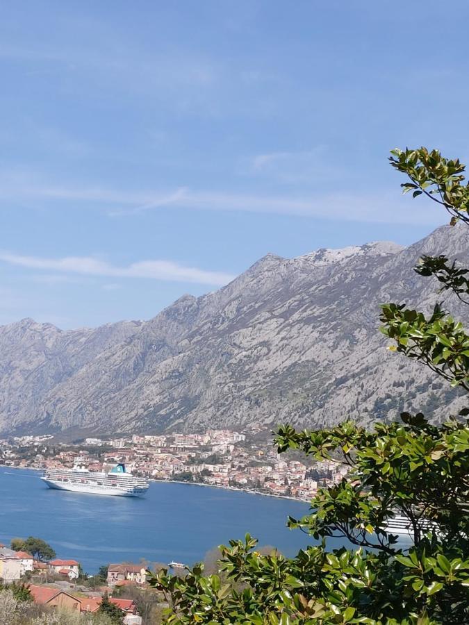 Villa Dolce Casa à Kotor Extérieur photo